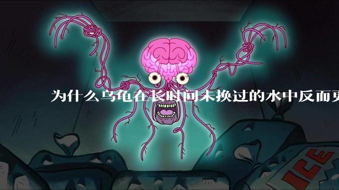 为什么乌龟在长时间未换过的水中反而更活跃？